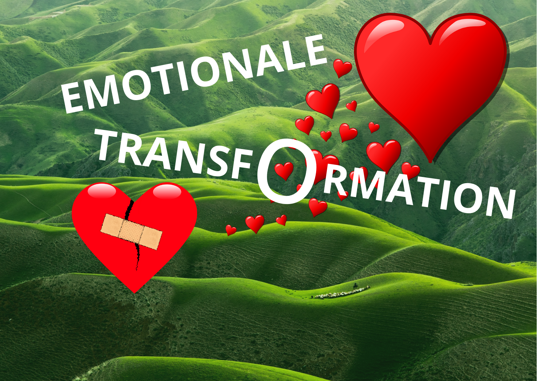 EMOTIONALE (10)